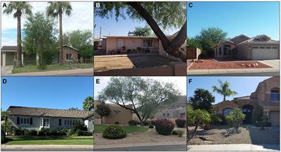 Residents manage dynamic plant communities: Change over time in urban vegetation